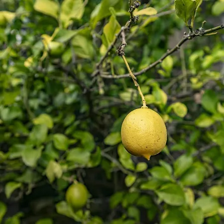 4 Casa Indianas Selores